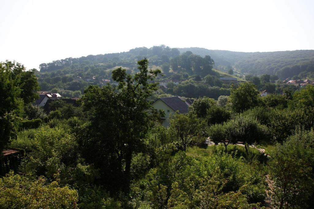 Pensiunea Sighişoara Exterior foto